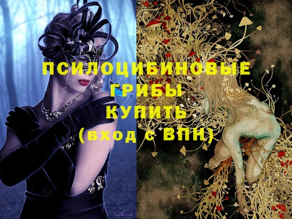 экстази Богородицк