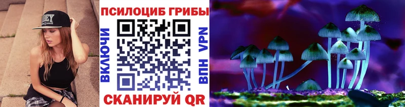 Галлюциногенные грибы Psilocybe  Михайловск 